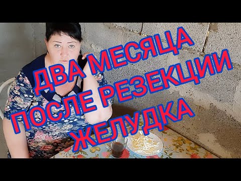 Видео: МОЗГ ГОВОРИТ ДАВАЙ ДАВАЙ,А ЖЕЛУДОК ОТВЕЧАЕТ ,Я НЕ УЧАВСТВУЮ В ПИЩЕВОМ РАЗВРАТЕ