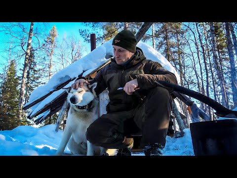 Видео: БРАКОНЬЕРЫ И ХАПУГИ ХОДЯТ ПО ПЯТАМ. В МАЛЕНЬКУЮ ВЕТХУЮ ИЗБУ С РЫБАЛКОЙ.