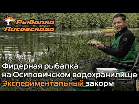 Видео: Фидер на Осиповичском водохранилище. Экспериментальный закорм