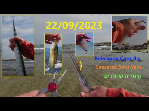 Видео: 4K 22/09/2023 Caesarea Sdot Yam שדות ים Сдот Ям  fishing דיג рыбалка חניתן טלוויזיה סרגוס תוכי