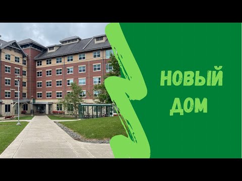 Видео: АМЕРИКА Лиза заселяется в студенческое общежитие. Обзор комнаты