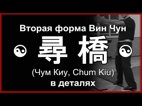 Видео: Форма Вин Чун «Чам Киу» в деталях | Сhum Kiu Wing Chun