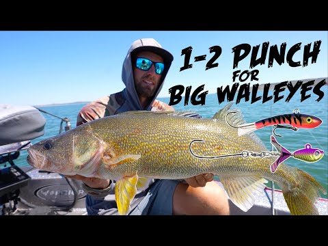 Видео: 2 БЛЕСТЯЩИЕ ГИГАНТСКИЕ летние судаки НЕ МОГУТ УСТОЙТИ!