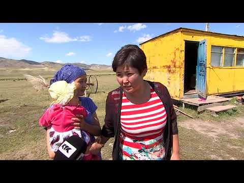 Видео: Дау-дамайсыз: Мал бақтырып, баланың көз жасына қалған кім?