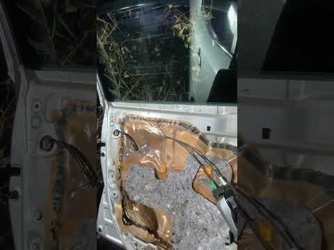 Видео: #дусяшым 