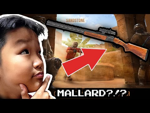 Видео: ШИНЭ ГАРСАН БУУГ ТУРШИВ.    |STANDOFF 2|
