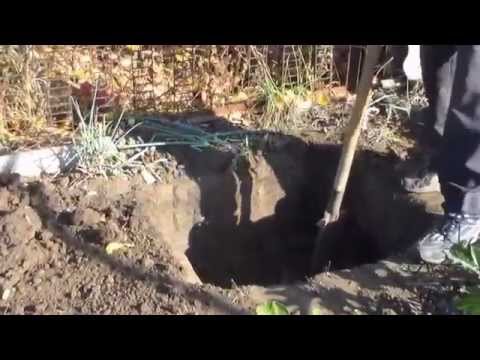 Видео: Заправляем посадочную яму