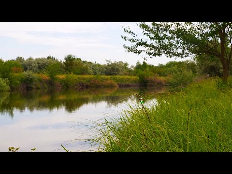 Видео: РЫБАЛКА НА ЗАКИДУШКИ И ПОПЛАВОК. КАРАСИ ОЧЕНЬ ВКУСНЫЕ и ТОЛЬКО ИЗ РЕКИ. Рыбалка на крупного карася.