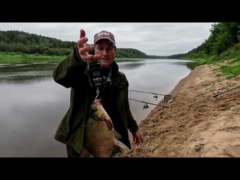 Видео: Фидер.Даугава.Западная Двина.
