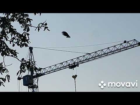 Видео: 26 августа 2025 г.Вечер.