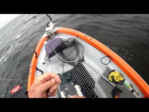 Видео: NARVAL Maxlug mini. Включать или выключать????