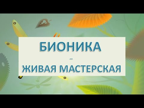 Видео: «Бионика – живая мастерская» / видеопрезентация (12+)