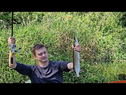 Видео: Поход-сплав с детьми. Северка 14.09.25