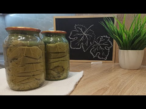Видео: Виноградные листья без рассола. Сухая консервация. Заготовка для ТОЛМЫ