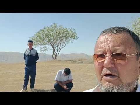 Видео: Қобил бохши Узунда Оқмачит Янгиоботда Абдижаббор ака тўйида. 1қисм. 