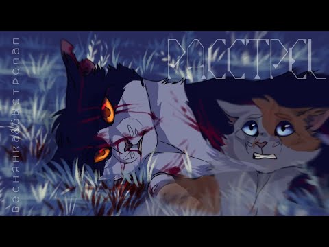 Видео: «Расстрел»//Быстролап&Веснянка//Коты Воители