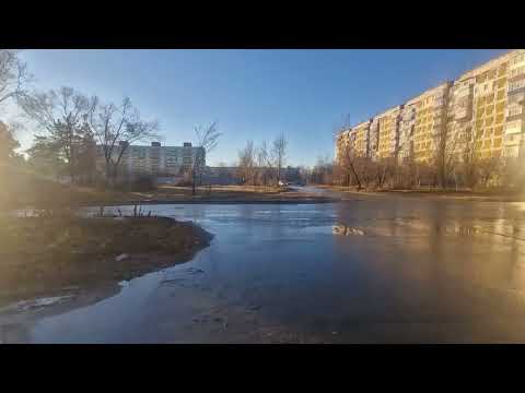 Видео: РУДНЫЙ, 08.11.2025.опять лето