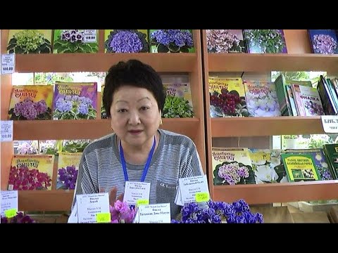 Видео: ДФ. О селекции Макуни Людмила Пак