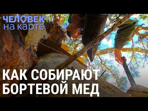 Видео: Бортники | ЧЕЛОВЕК НА КАРТЕ