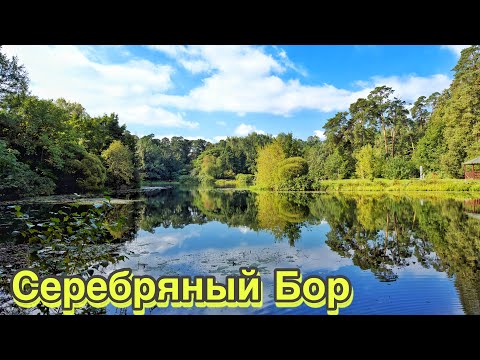 Видео: Серебряный Бор: пляжи, цены, отдых. Парки Москвы 2023. Куда сходить, место для прогулок с детьми