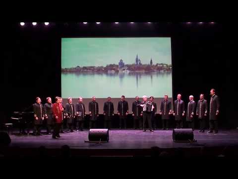 Видео: "Над окошком месяц" (музыка Е. Попов, стихи С. Есенин), баян Александр Корбаков