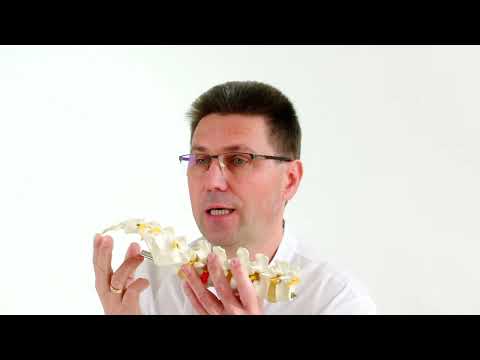 Видео: Что делать, когда болит копчик? Причины болей в копчике, как делать обследование и как лечить.