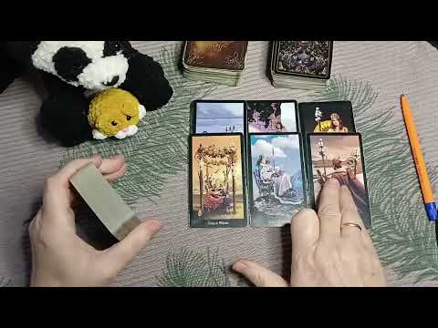 Видео: Проект "путін" готові згорнути⁉️🤔