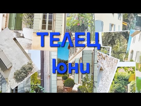 Видео: 🌿зодия ТЕЛЕЦ през ЮНИ🌿