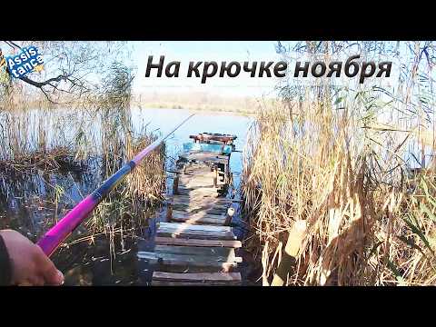 Видео: Поплавок в холодной воде качнулся и мир для тебя замкнулся.