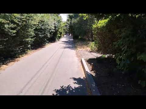 Видео: Грибовка, Золотой Колос, (23.06.2025, часть 4)