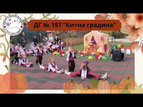 Видео: Две невести тикви брали