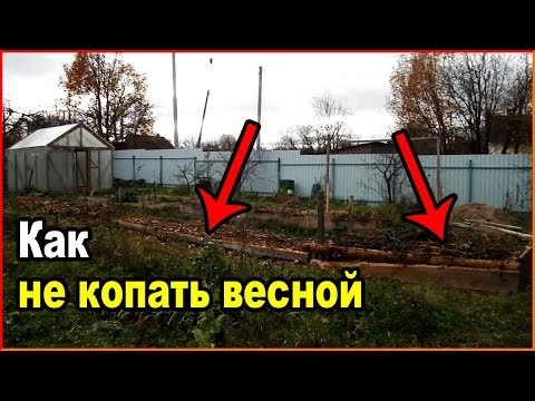 Видео: Подготовка огорода к зиме, что бы не копать весной.