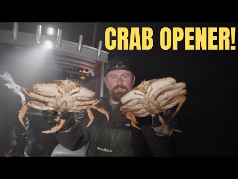Видео: Открытие крабов в Дангенессе | Запуск в 1:00 и все лимиты!
