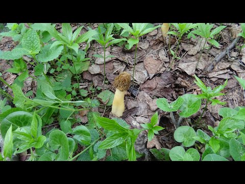 Видео: Сплав по Нерли 2024 часть 3