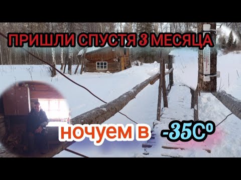 Видео: НОЧУЕМ В -35С⁰ пришли спустя 3 месяца, готовим таёжную пиццу.
