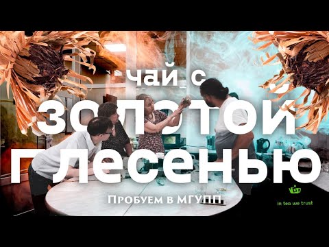 Видео: МГУПП. Дегустация уникального чая с золотой плесенью