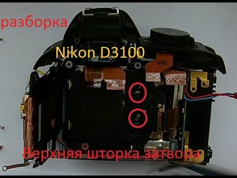 Видео: nikon d3100 - запала шторка затвора. разборка-сборка