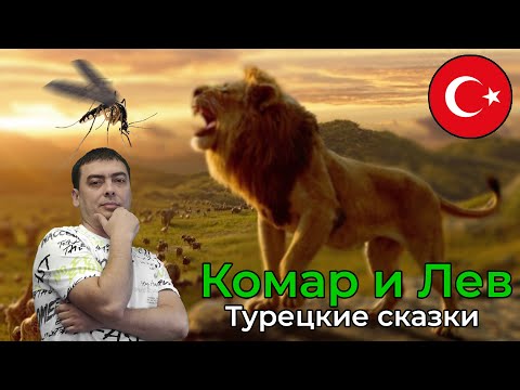 Видео: Турецкие сказки. Sivrisinek ve Aslan Masalı. Комар и Лев