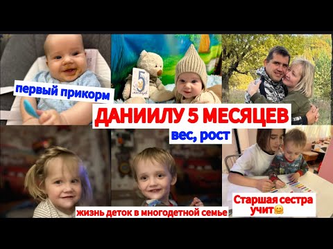 Видео: ВЕС,РОСТ ДАНИИЛА В 5 МЕСЯЦЕВ⚖️ПЕРВЫЙ ПРИКОРМ🥦ОТНОШЕНИЕ ДЕТЕЙ ДРУГ К ДРУГУ В МНОГОДЕТНОЙ СЕМЬЕ🏡