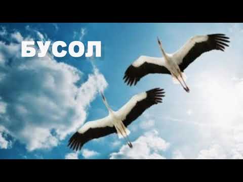 Видео: Диктант 3