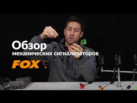 Видео: Карпфишинг TV :: Обзор свингеров FOX