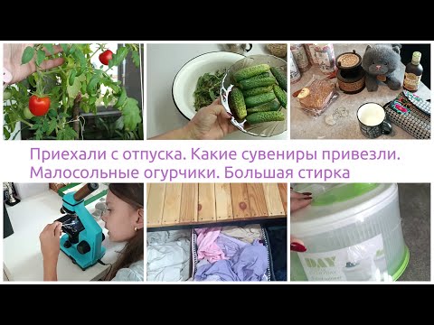 Видео: Приехали с отпуска. Мой мини огород. Большая стирка. Готовим малосольные огурчики. Сувениры.