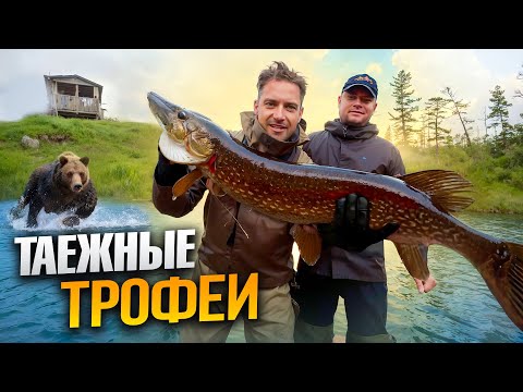 Видео: Таежные будни: ходим по следам медведя, ловим хариуса и щуку. 3 серия