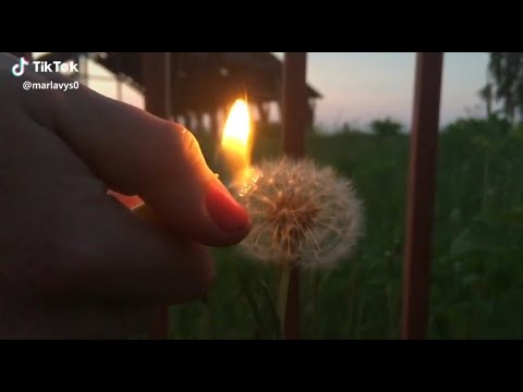 Видео: ГРУСТНАЯ ПОДБОРКА ИЗ ТИК ТОК