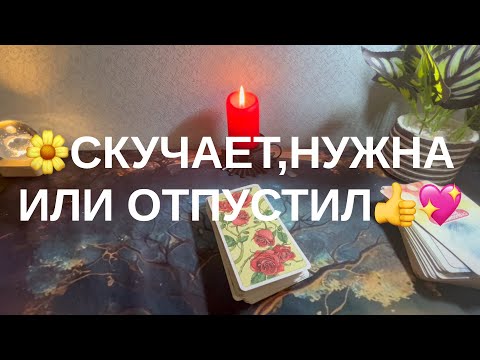 Видео: 6 ноября 2025 г.