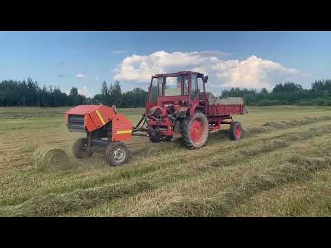 Видео: 20 июля 2025 г.