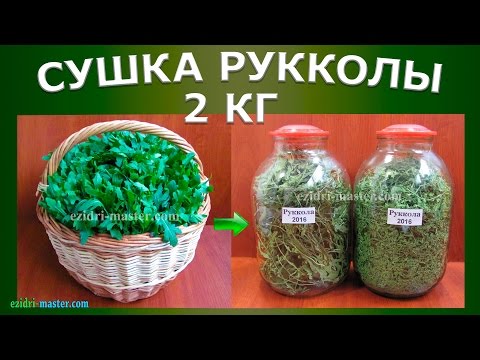 Видео: Сушка рукколы – 2 кг