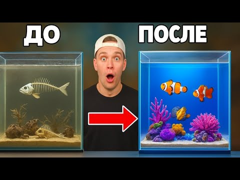 Видео: Превращение заброшенного аквариума в морской риф