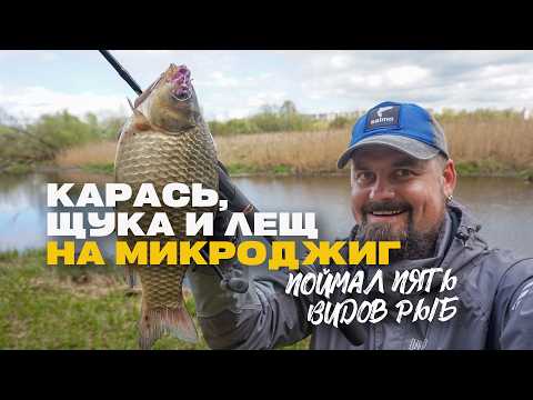 Видео: Карась Щука Лещ и Другие на Спиннинг Микроджиг Поймал Пять Видов Рыб за Одну Рыбалку