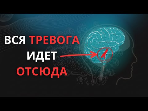 Видео: Секрет спокойствия, который НИКТО не хочет тебе рассказывать. Как перенаправить тревогу в энергию